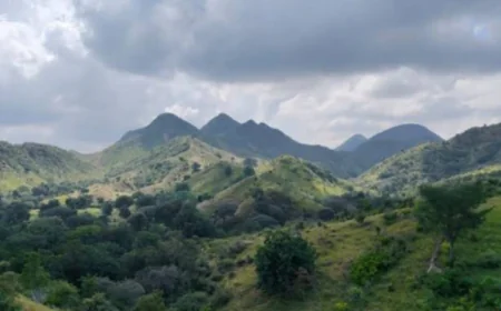 अरावली को 'बचाने' नहीं, 'बेचने' की साजिश: CEC को 'कठपुतली' बनाने से लेकर सरिस्का का प्रोटेक्टेड एरिया बदलने की '48 घंटे की मंजूरी' तक, केंद्र सरकार की पोल खुली