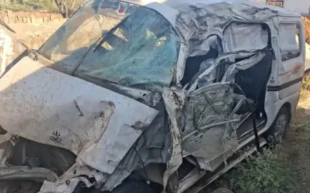 नागौर में भयानक सड़क हादसा: ड्राइवर की झपकी से ईको कार पलटी, डांस ट्रूप के दो युवकों की मौत, 8 घायल