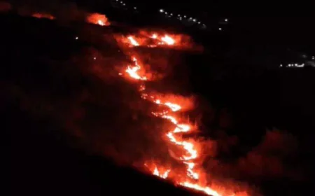 अजमेर की अरावली पहाड़ी पर लगी आग: वन विभाग और स्थानीय लोगों की त्वरित कार्रवाई से टला बड़ा हादसा