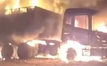 बीकानेर में चलते ट्रक में लगी भीषण आग: गाय को बचाने की कोशिश में बड़ा हादसा, चालक ने कूदकर बचाई जान