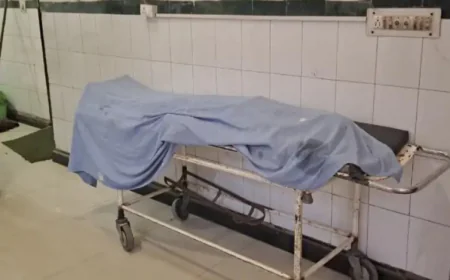 पाली में दर्दनाक हादसा: साफ-सफाई के दौरान तीसरी मंजिल से गिरी विवाहिता, सिर में गंभीर चोट लगने से मौत