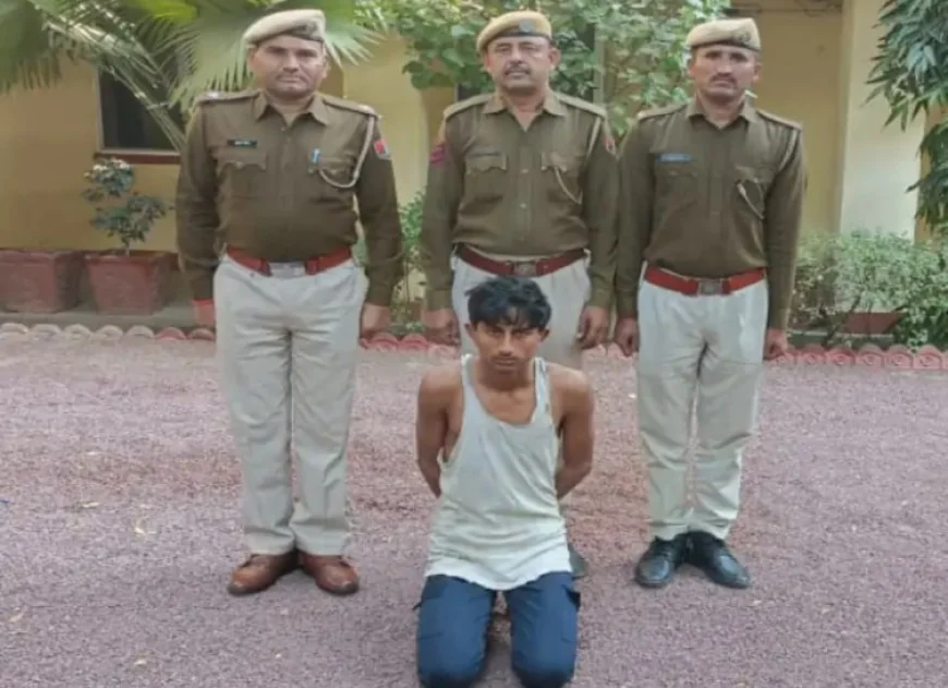 बालोतरा में वाहन चोरी का खुलासा: बुलेट समेत 5 बाइक बरामद, चोर गिरफ्तार