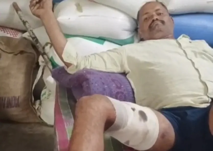 भरतपुर: आवारा सांड के हमले में युवक गंभीर रूप से घायल, पैर में आए 30 टांके