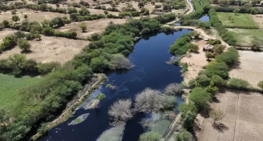 "जोजरी" एक नदी जो रो भी नहीं सकती... फिर भी पुकार रही है – बचाओ मुझे!