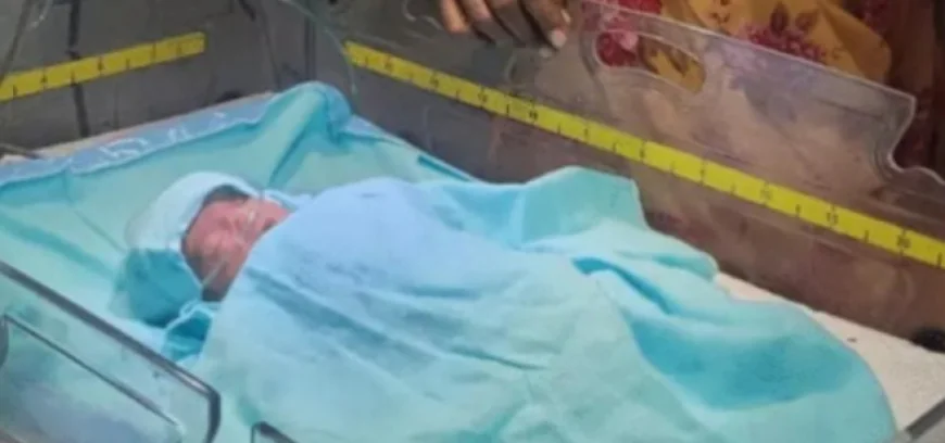 झाड़ियों से मिली खून से सनी नवजात बच्ची, चींटियां चल रही थीं शरीर पर महिला ने सुनकर बचाई जान .