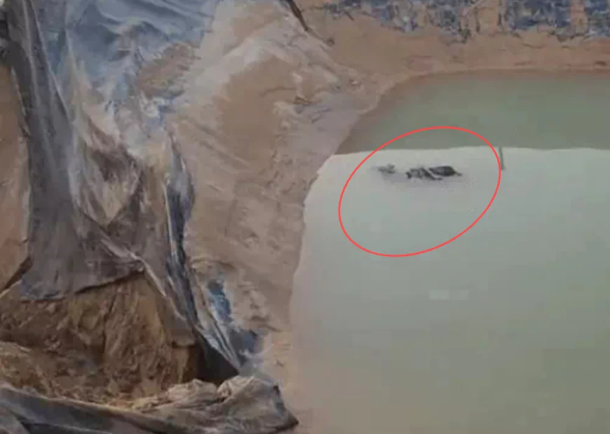 बीकानेर में 18 वर्षीय युवती से दर्दनाक रेप, फिर हत्या: मां बचाने आई तो आरोपी ने बेटी का शव डिग्गी में फेंक दिया, ग्रामीणों ने मोर्चरी पर धरना शुरू