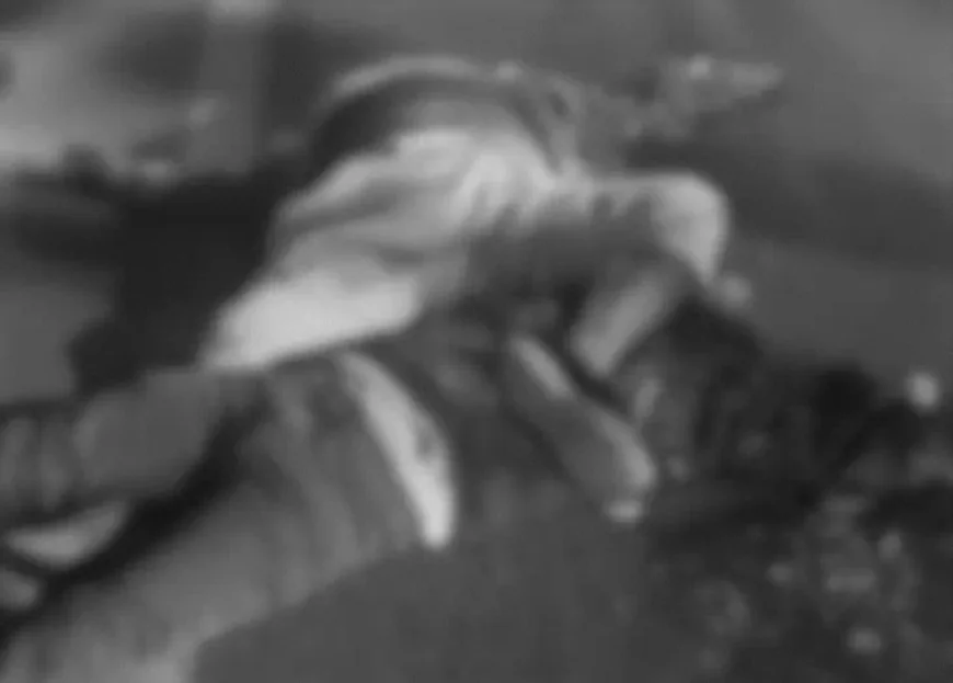 भरतपुर में भयावह सड़क हादसा: अज्ञात वाहन की टक्कर से दो बाइक सवारों की दर्दनाक मौत, केवलादेव पक्षी विहार के सामने खून से सन गई सड़क