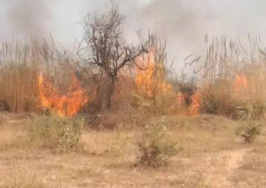 भरतपुर में IOCL पाइपलाइन से महज 200 मीटर दूर सूखी नदी के जंगल में लगी भीषण आग, 1 किमी तक फैला अग्निकांड; ग्रामीणों में दहशत