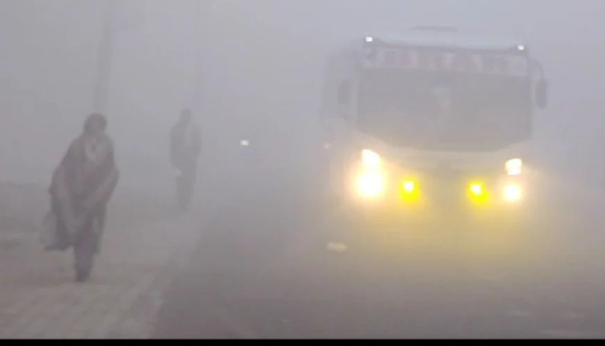 श्रीगंगानगर में घने कोहरे और कड़ाके की ठंड का कहर, जनजीवन प्रभावित