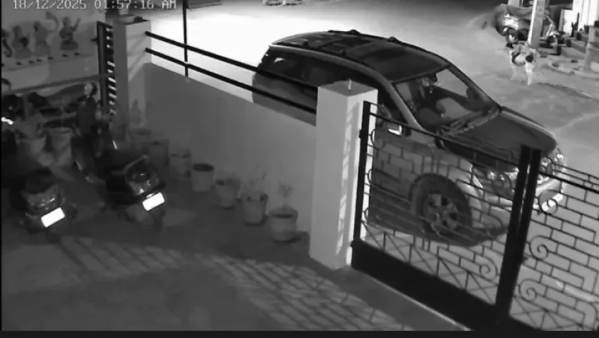 उदयपुर में लेपर्ड की दहशत: 18 घंटे में अलग-अलग जगहों पर नजर आए दो तेंदुए, CCTV में कैद हुई मूवमेंट, वन विभाग अलर्ट