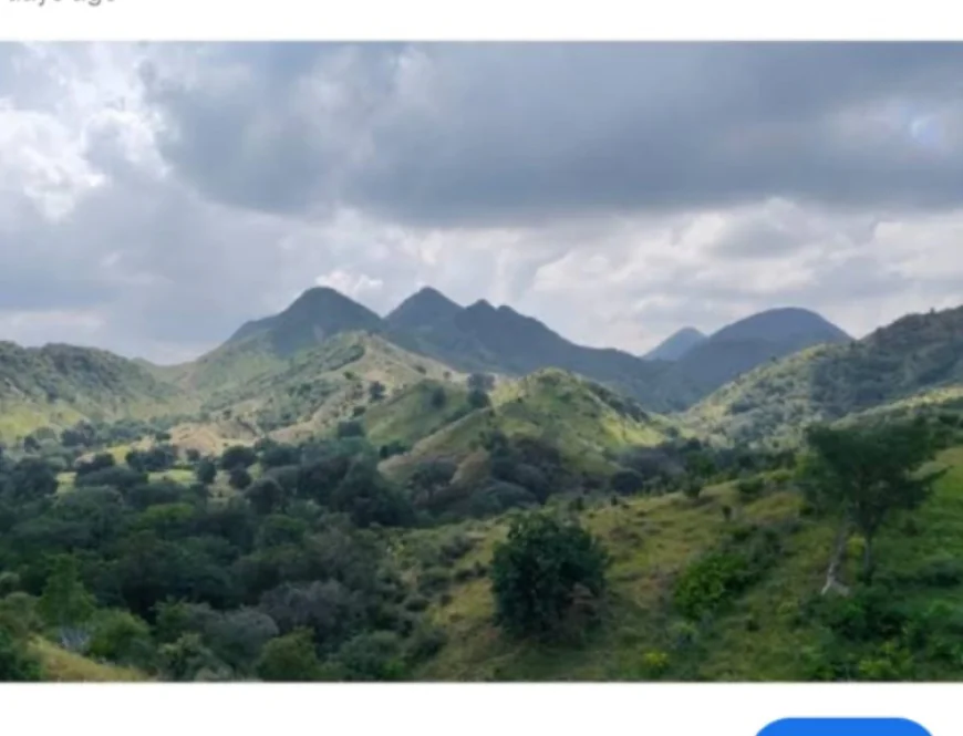 अरावली को 'बचाने' नहीं, 'बेचने' की साजिश: CEC को 'कठपुतली' बनाने से लेकर सरिस्का का प्रोटेक्टेड एरिया बदलने की '48 घंटे की मंजूरी' तक, केंद्र सरकार की पोल खुली