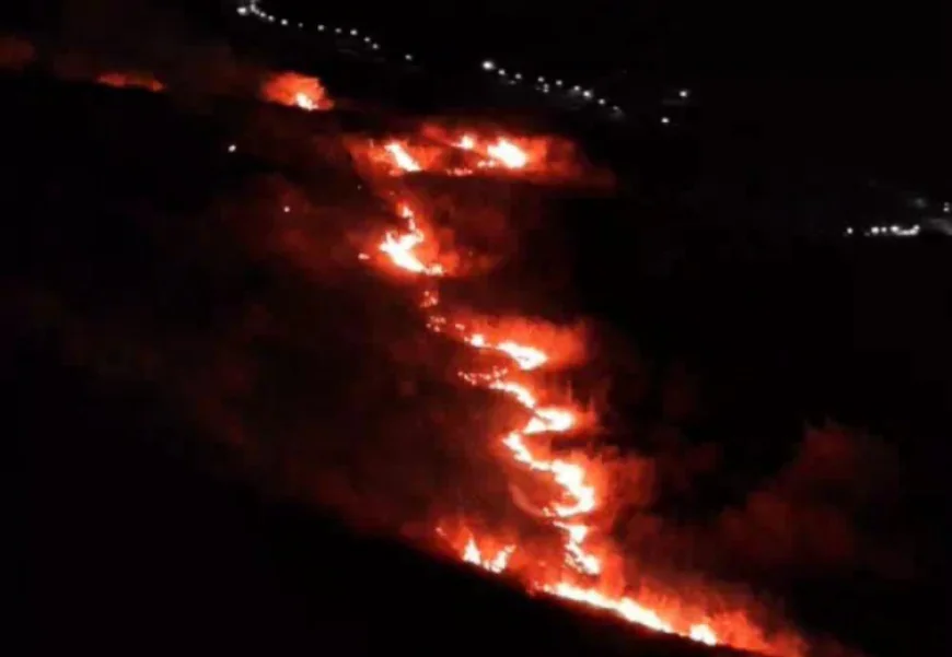 अजमेर की अरावली पहाड़ी पर लगी आग: वन विभाग और स्थानीय लोगों की त्वरित कार्रवाई से टला बड़ा हादसा