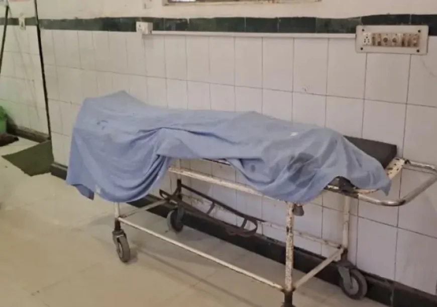 पाली में दर्दनाक हादसा: साफ-सफाई के दौरान तीसरी मंजिल से गिरी विवाहिता, सिर में गंभीर चोट लगने से मौत