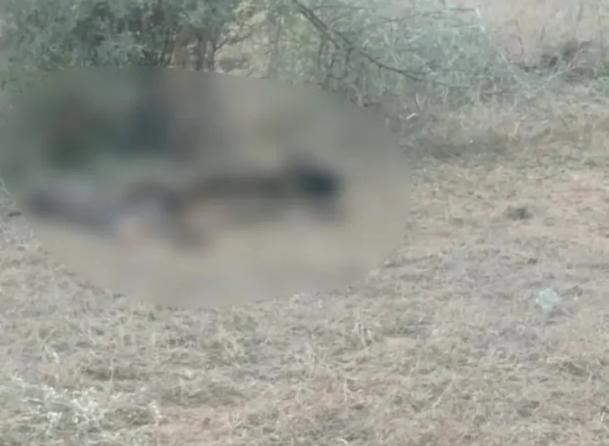 बालोतरा में लापता युवक का कंकाल मिलने से सनसनी: 150 मीटर दूर कटा हुआ हाथ का पंजा मिला, मानसिक रूप से कमजोर बुटाराम की मौत का रहस्य गहराया