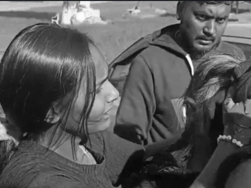 झुंझुनूं में रास्ते के विवाद पर भिड़े दो पक्ष: पथराव में मां-बेटी घायल, बुजुर्ग महिला का चेहरा खून से सना, बच्चे रोने लगे; वीडियो वायरल