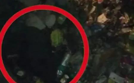 जैसलमेर में नाले में मिला रिटायर्ड अधिकारी का शव: दुर्घटना या रहस्यमयी मौत?