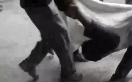 भीलवाड़ा: कपड़ा फैक्ट्री में जहरीली गैस से दो मजदूरों की दर्दनाक मौत, प्रबंधन की लापरवाही पर भारी विरोध