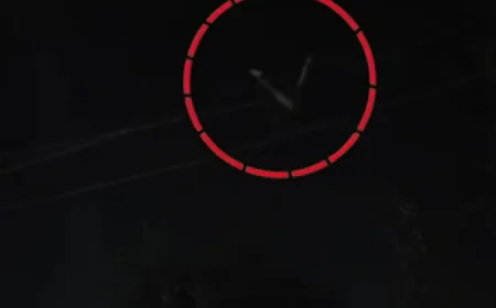 दौसा में हाईटेंशन बिजली के खंभे पर चढ़ा युवक: 'मुझ पर किसी का साया है', 2 घंटे तक तारों पर झूलता रहा, सिविल डिफेंस ने उतारा