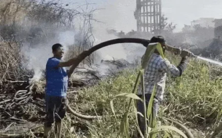 बाड़मेर सरस दूध डेयरी परिसर में लगी भीषण आग: हवा से फैली लपटें, मची अफरा-तफरी, स्थानीय लोगों ने लगाई सफाई की लापरवाही पर उंगली