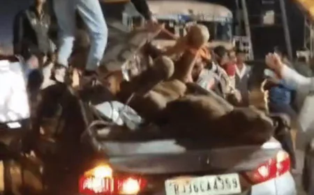 भीलवाड़ा में भीषण सड़क हादसा: तेज रफ्तार कार से टकराया ऊंट, छत फोड़कर अंदर घुसा – ड्राइवर की मौके पर मौत, परिवार के चार सदस्य घायल