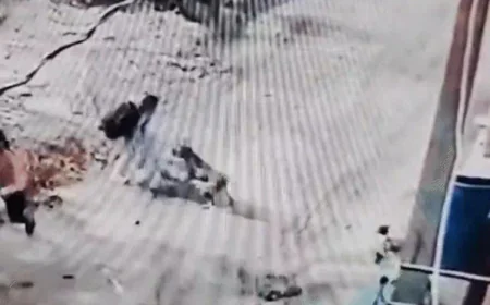 सवाई माधोपुर में मां की बहादुरी: आवारा कुत्ते से डेढ़ साल की बेटी को बचाने के लिए कुत्ते से भिड़ी महिला, वीडियो में देखें दिल दहला देने वाला मंजर