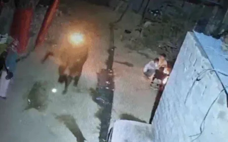 राजस्थान में अमानवीय घटना: सांड पर पेट्रोल डालकर लगाई आग, जलता हुआ गलियों में दौड़ता रहा; CCTV में कैद हुआ दिल दहला देने वाला वीडियो