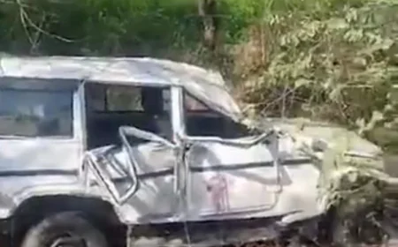 अलवर में लव मैरिज विवाद: युवक को किडनैप कर ले जा रहे दो लोगों की कार पलटने से मौत, एक घायल