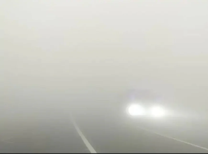 बाड़मेर में नए साल की शुरुआत घने कोहरे और कड़ाके की ठंड के साथ