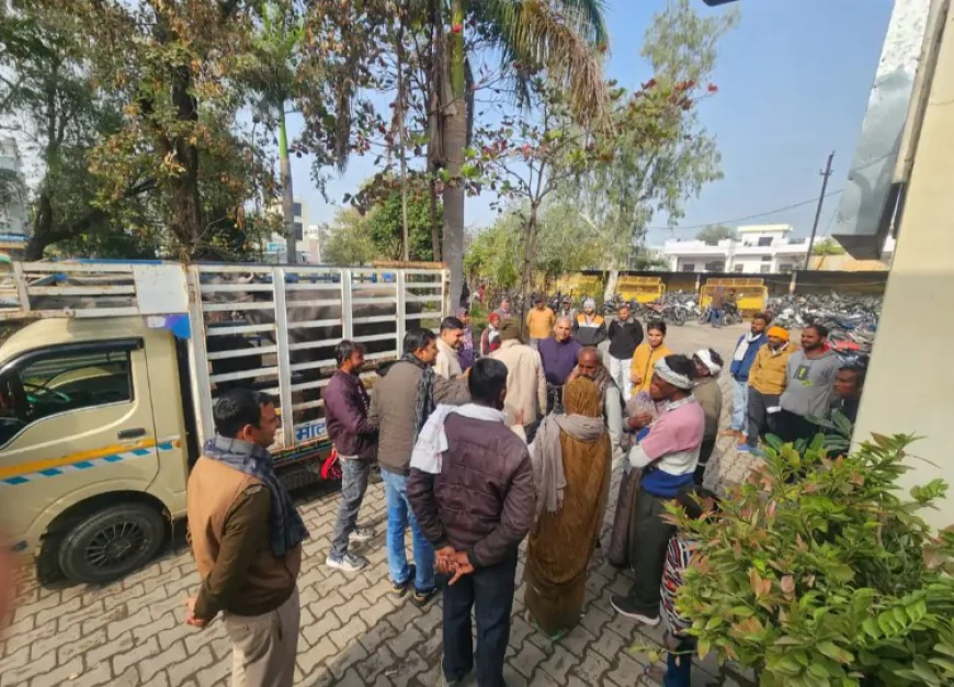 कोटा में भैंस के मालिकाना हक पर अनोखा विवाद: पुलिस ने थाने लाई भैंस, मंदिर में कसम के बाद भी पड़ा मेडिकल कराना