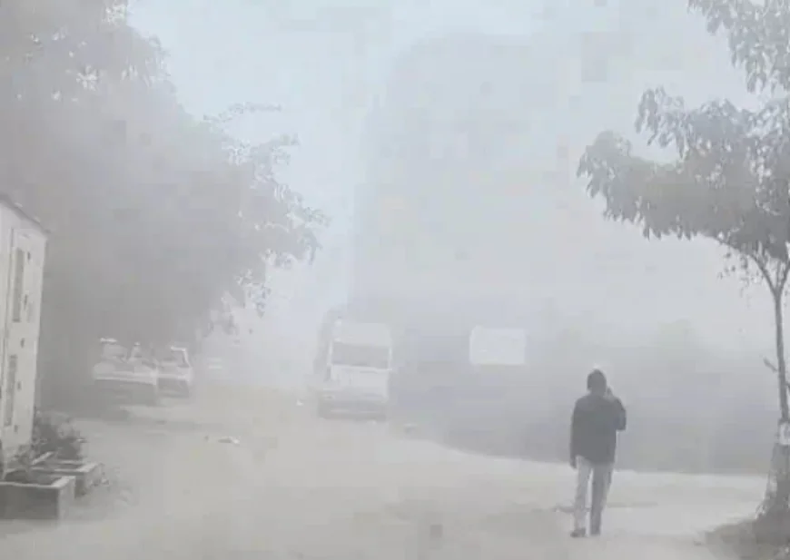 राजस्थान में शीतलहर और घने कोहरे का कहर: 9 जिलों में स्कूलों की छुट्टियां, माउंट आबू में तापमान शून्य डिग्री