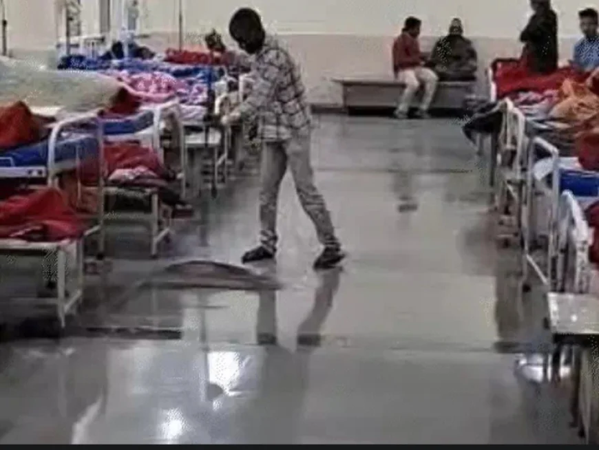 जयपुर में भीषण ऑडी कार हादसा: तेज रफ्तार और नशे ने मचाया कहर, एक की मौत, 16 घायल – अस्पताल में VIP विजिट के दौरान विवादास्पद घटनाएं