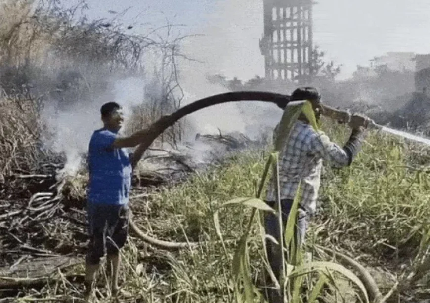 बाड़मेर सरस दूध डेयरी परिसर में लगी भीषण आग: हवा से फैली लपटें, मची अफरा-तफरी, स्थानीय लोगों ने लगाई सफाई की लापरवाही पर उंगली