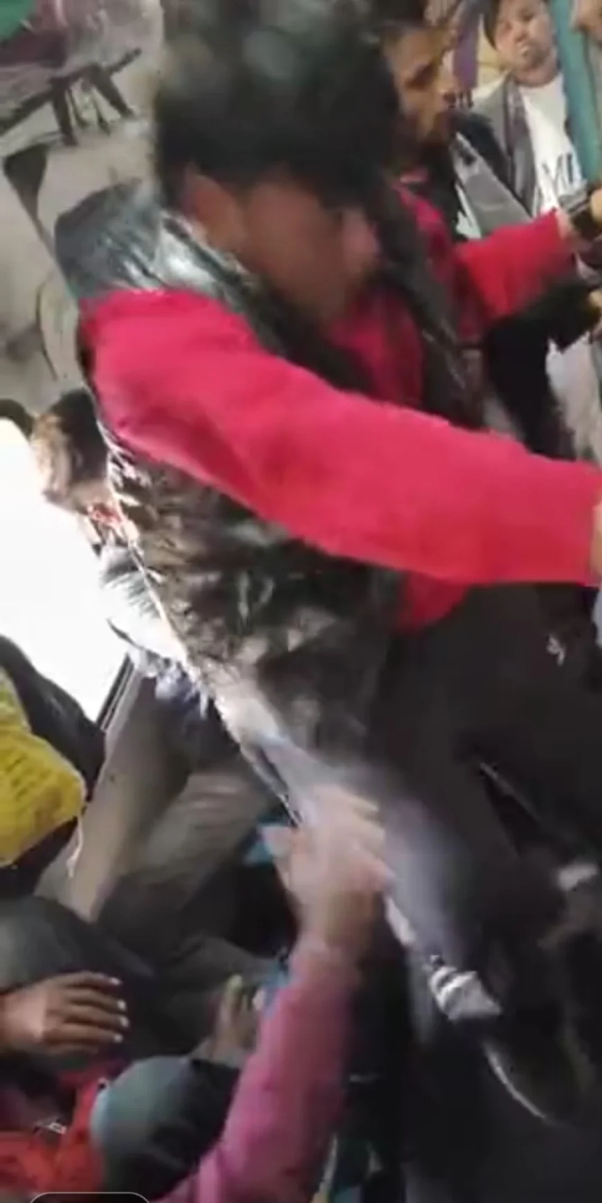 ट्रेन में सीट विवाद पर युवक पर 10 से ज्यादा लोगों ने किया हमला: गोल्डन टेंपल एक्सप्रेस में हिंसक मारपीट, वीडियो वायरल