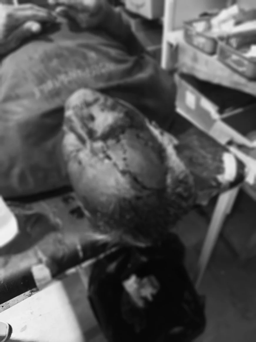 नागौर के लूणदा गांव में मकर संक्रांति की शाम हुआ खूनी हमला: पीड़ितों को खुलेआम धमकियां, पुलिस कार्रवाई पर सवाल