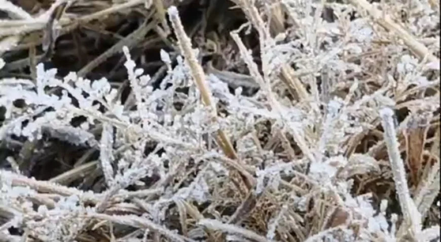 राजस्थान में कड़ाके की सर्दी: माउंट आबू में तापमान -7 डिग्री पहुंचा, बर्फ जमी, आंधी-बारिश और कोहरे की चेतावनी जारी