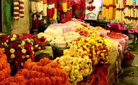 जोधपुर में 'थीम वेडिंग' का बढ़ा क्रेज: ड्रेस से मैचिंग वरमाला के लिए ₹9,000 तक खर्च कर रहे कपल, फूलों की मांग में रिकॉर्ड तोड़ उछाल