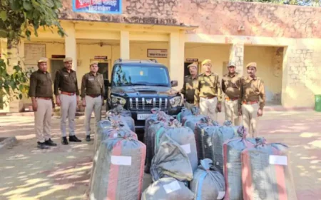 नाकाबंदी तोड़कर भागे तस्कर, 15 किमी पीछा कर पुलिस ने 438 किलो डोडा-पोस्त बरामद: SUV टायर फटने पर छोड़कर खेतों में फरार हो गए, मारवाड़ क्षेत्र में सप्लाई का था प्लान
