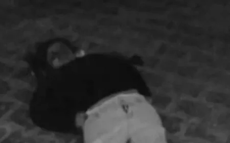 गाजियाबाद में तीन सगी बहनों की दर्दनाक आत्महत्या: मोबाइल गेम की लत ने छीन लीं मासूम जिंदगियां