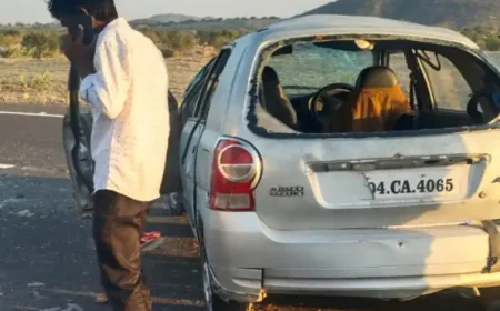 हाईवे पर अचानक मवेशी आने से अल्टो कार पलटी, 8 लोग घायल: बच्चे-महिलाएं सड़क पर गिरे, एक मासूम सड़क पर बैठकर रोता रहा