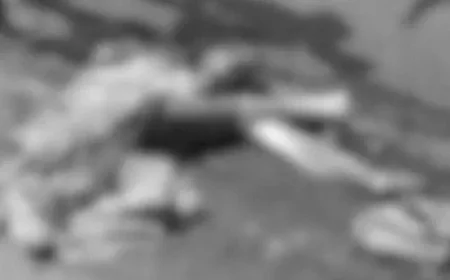 उदयपुर में दिल दहला देने वाला हादसा: मां के शव से लिपटकर रोती रही बेटी, तेज रफ्तार ट्रेलर ने महिला पर्यटक को कुचलकर 50 मीटर तक बिखेरे मांस के चीथड़े