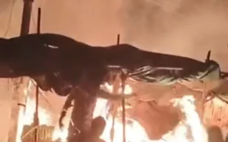 बीकानेर के खाजूवाला में सब्जी मंडी में भीषण आग: शॉर्ट सर्किट से लगी आग, 11 हजार केवी लाइन के नीचे बनी अस्थाई दुकानें जलकर राख