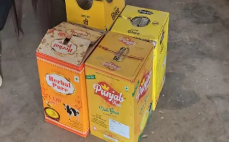 बाड़मेर कृषि मंडी में मिलावटी घी पर शुद्ध आहार अभियान के तहत बड़ी कार्रवाई: विश्व घी, हर्बल, मैत्री और पंजाब ब्रांड के सैंपल लिए, स्टॉक जब्त