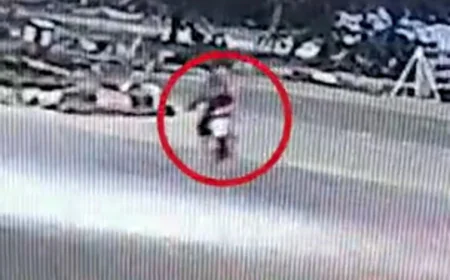 जयपुर में तेज रफ्तार पिकअप ने साइकिल सवार मजदूर को कुचला, ब्रेन डेड के बाद हुई मौत; ड्राइवर फरार