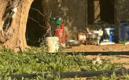 बाड़मेर में खेत के बीच पकड़ी गई एमडी ड्रग्स बनाने की फैक्ट्री, छाछ मशीन से तैयार किया जा रहा था नशा..