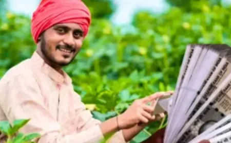 PM किसान योजना की 22वीं किस्त पर बड़ा अपडेट जल्द किसानों के खातों में आएंगे 2-2 हजार रुपए, जानिए पूरी जानकारी...