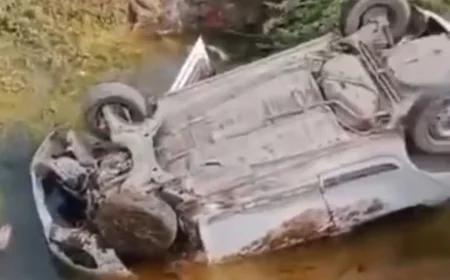 अलवर में भीषण हादसा: क्षतिग्रस्त पुलिया से 70 फीट नीचे गिरी कार, चारों पहिए ऊपर हो गए लेकिन दोनों दोस्त चमत्कारिक रूप से बच गए