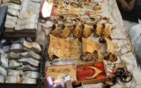 जोधपुर में ड्रग्स के बड़े नेटवर्क का भंडाफोड़ मकान से 950 किलो डोडा पोस्त, एमडी ड्रग्स, 13 लाख नकद और सोना-चांदी बरामद