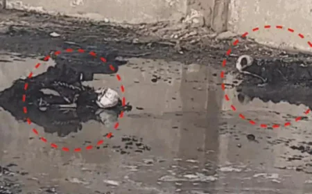 राजस्थान: भिवाड़ी अवैध पटाखा फैक्ट्री ब्लास्ट में मौतों का सिलसिला जारी, मृतकों की संख्या 9 पहुंची – 90% झुलसे एक और मजदूर ने तोड़ा दम