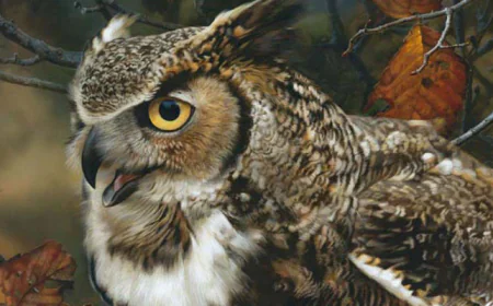 30 हजार की बाइक बेचने निकला किसान, ‘15 लाख के उल्लू’ के जाल में फंसा… 6 लाख लेकर फरार हुई गैंग!