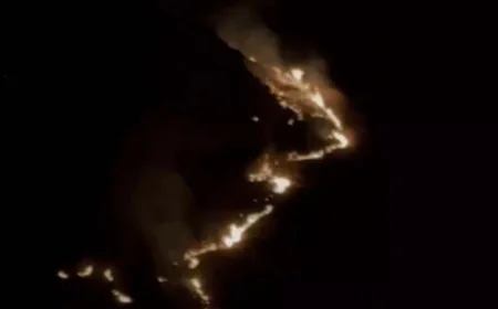 ऋषभदेव में बलुआ पहाड़ी पर लगी भीषण आग: डेढ़ घंटे तक धधकती रही, 4 हेक्टेयर क्षेत्र प्रभावित; प्रशासन, पुलिस, वन विभाग और ग्रामीणों ने मिलकर संभाला मोर्चा